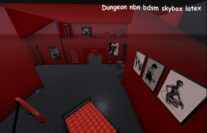 Dungeon nbn bdsm skybox latex