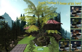 Forests TreeHouse Seasons